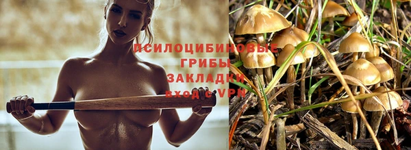 меф Алзамай